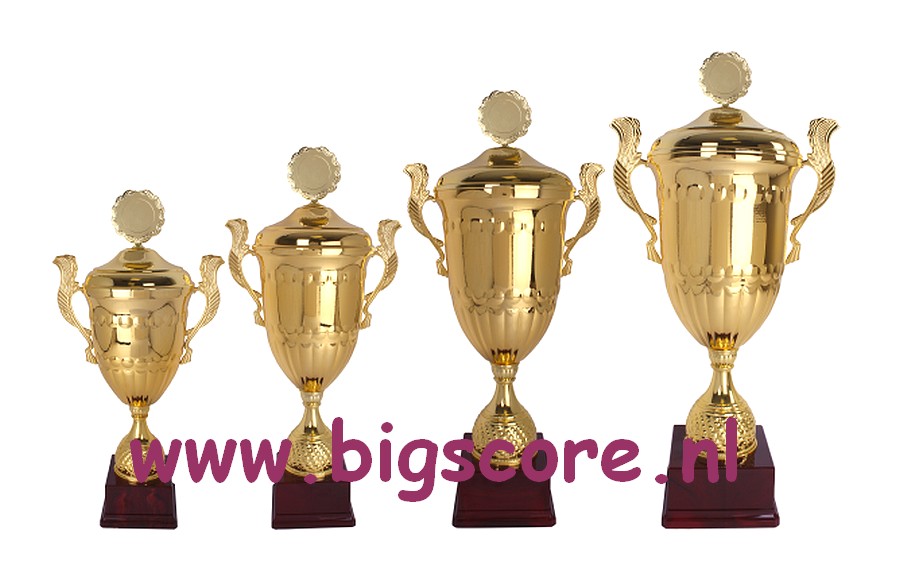 AX9230 Grote beker Goud